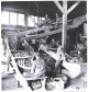 1918 magazine photo of slate pickers at work