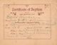 Certificate of Baptism, Edith Wilkie (Sumner Place ME Church, Buffalo, NY)