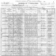 1900 U.S. census - Mary V. Lacey (North Tonawanda Ward 1, Niagara Co., NY)